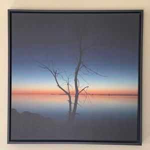 I took this photo in March 2021 and had it printed and framed.